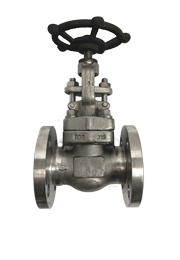 ANSI 150# SS316 Globe Valve
