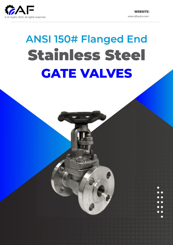 Dual Plate Check Valves
