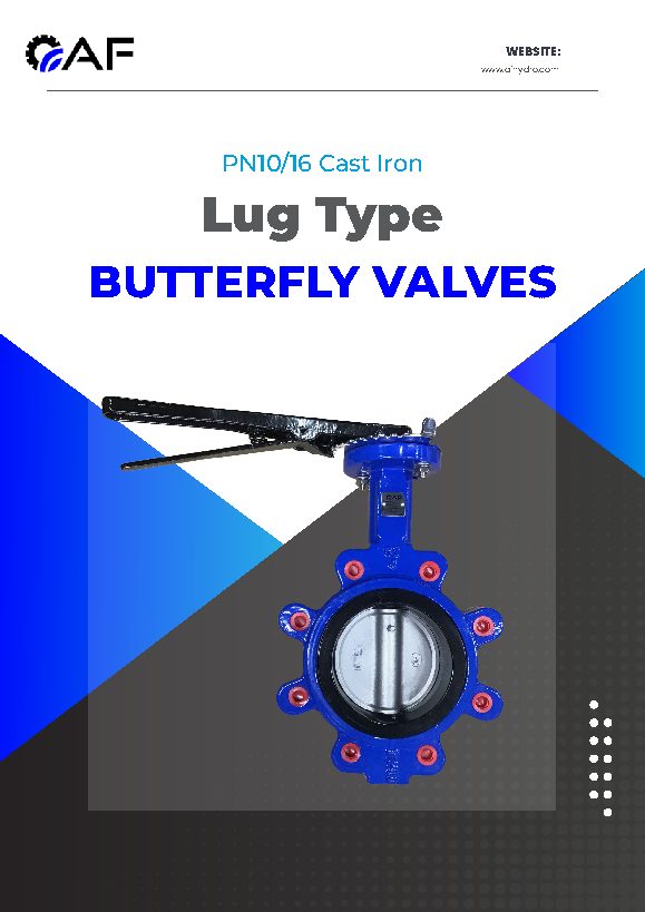 Cast Iron Lug Type Butterfly Valves PN10/16