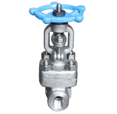 Threaded End SS316 ​Gate Valve​ (800 PSI)