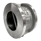 Dual plate check valve