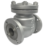 Swing Check Valves