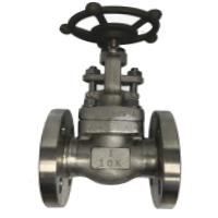 JIS 10K SS316 ​Globe Valve​
