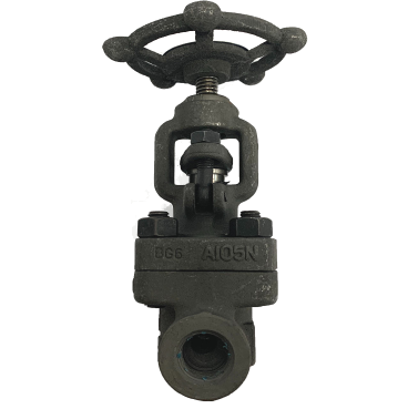 Threaded End Forged Steel ​Globe Valve