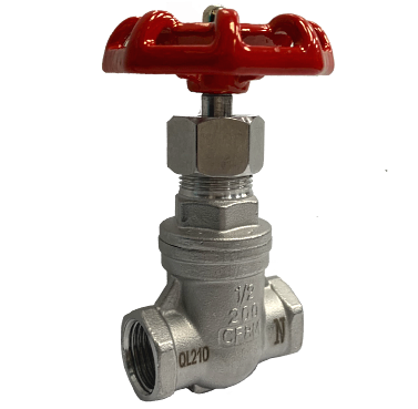 NPT Threaded End SS316 Gate Valve (200 PSI)