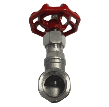 NPT Threaded End SS316 Globe Valve