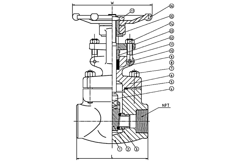 Threaded End SS316 Gate Valve (800 PSI) Drawing